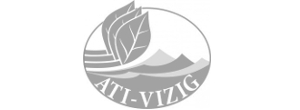 ATI vizig